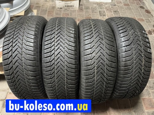 Шини зимові 215/65R16 Asa+Tecar