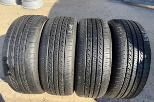 Шини літні 195/55R15 Autogrip